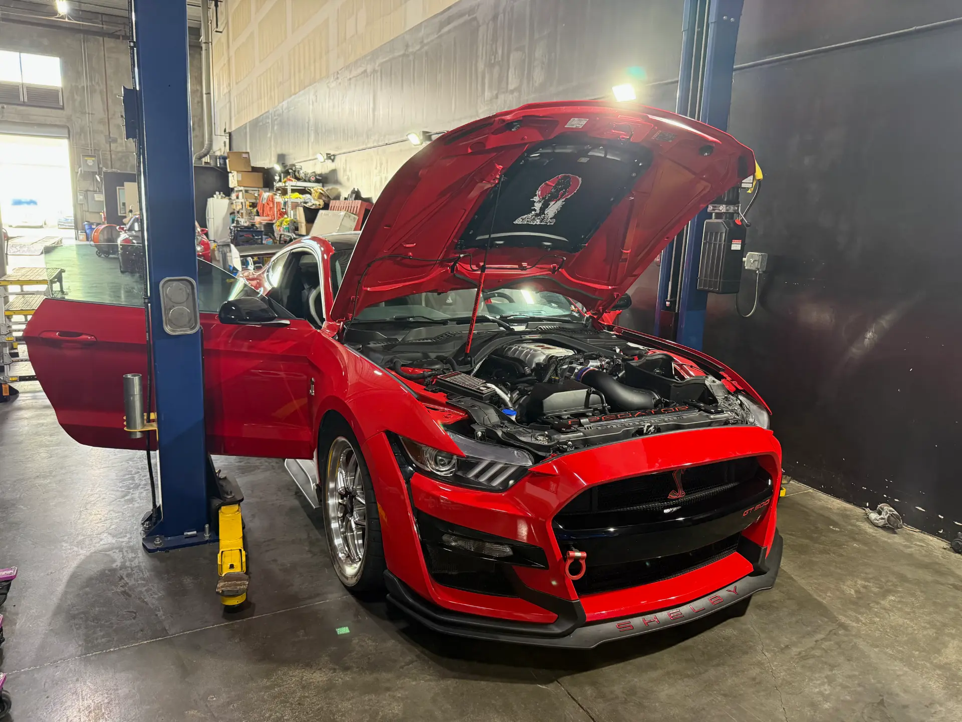Red Shelby GT500 on the lift with the hood open